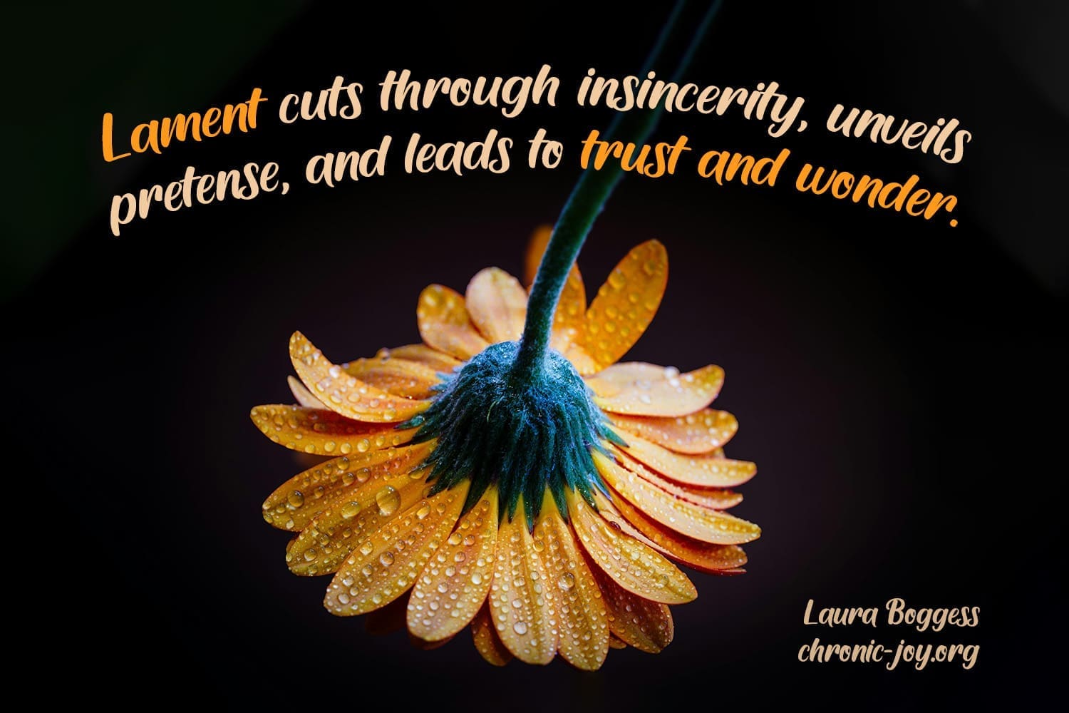 Lament can open the door to trust and wonder.
