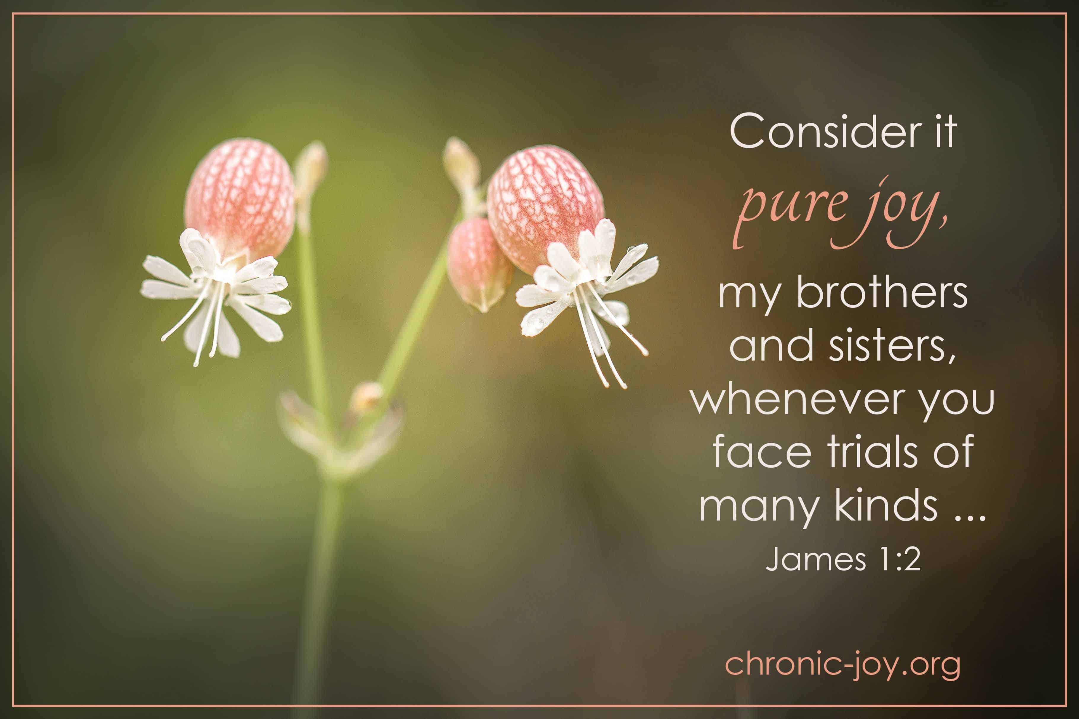 Consider it pure joy, my brothers and sisters, whenever you face trials of many kinds ...