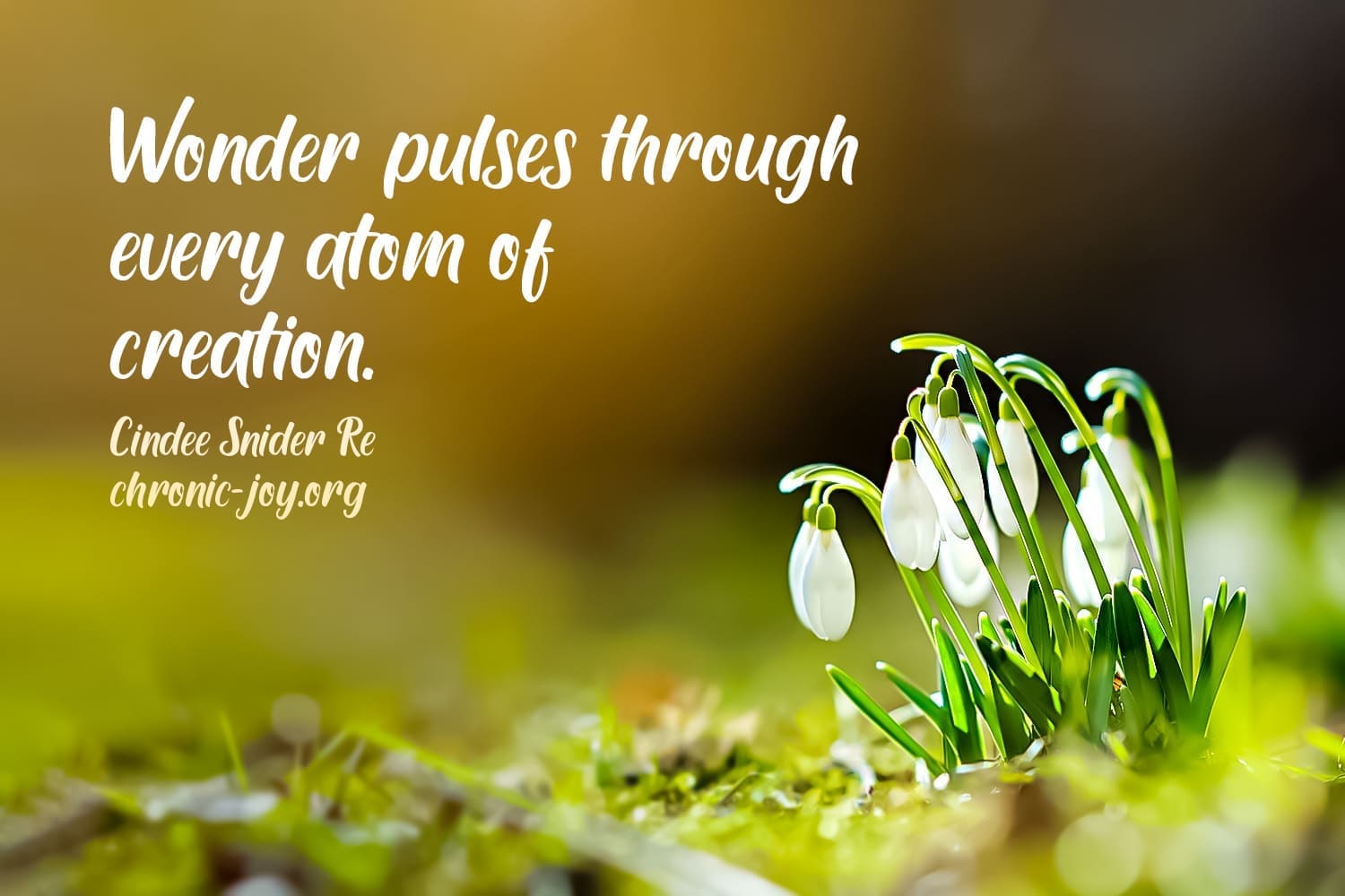 An invitation to rediscover wonder.