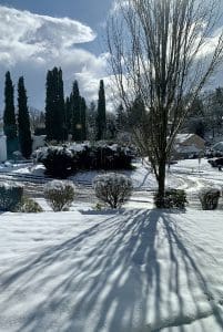 Waiting in Winter