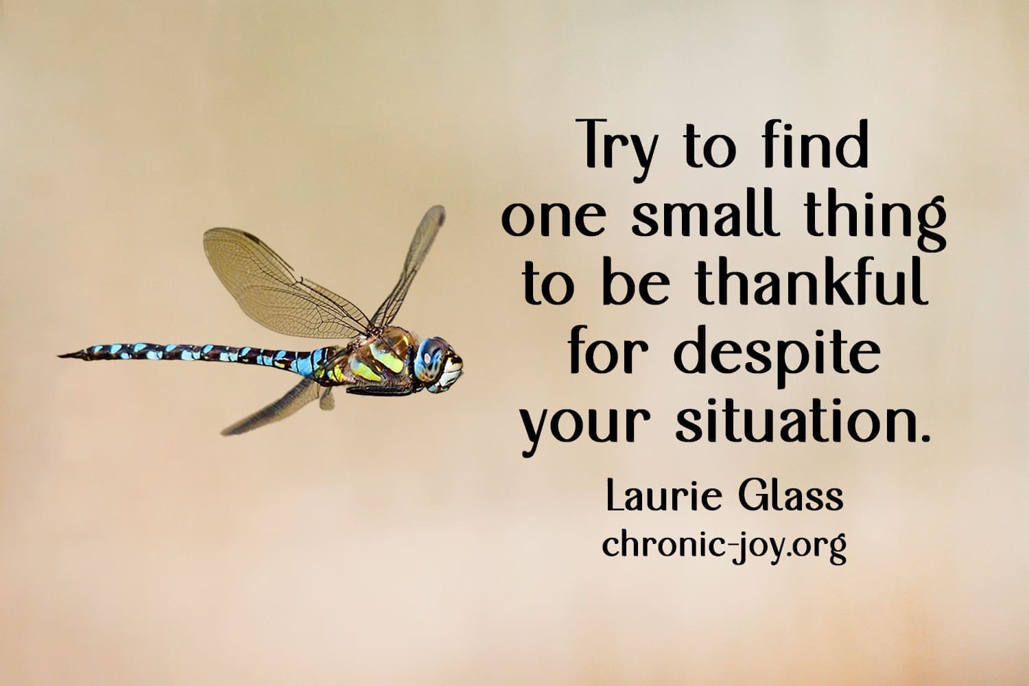 Find one small thing to be thankful for.