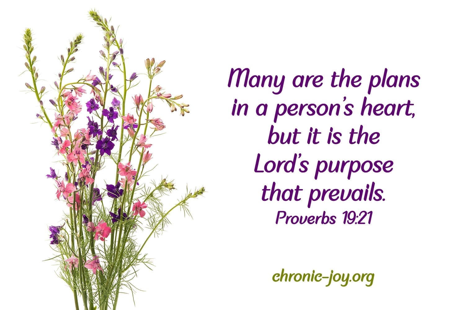We all have purpose in the Lord.