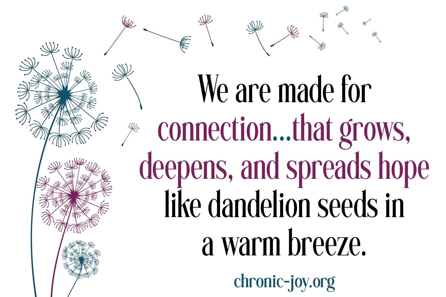 We are made for connection.